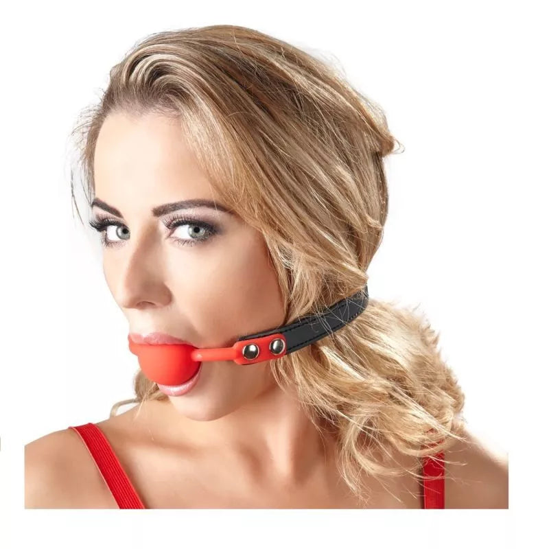 Burnos kaištis Pakraštys