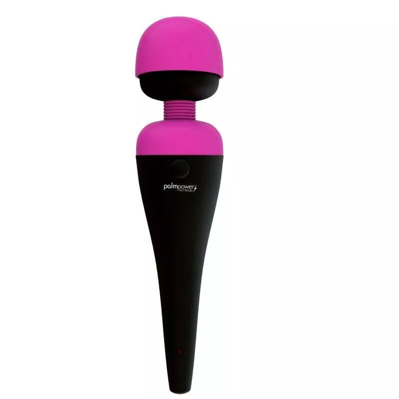 Masažuoklis Palmpower Asmeninis Masažuoklis