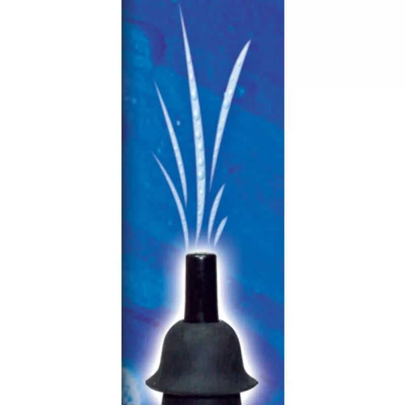 Analinis dušas Meilė